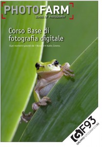 GF93_Corso_2013-web