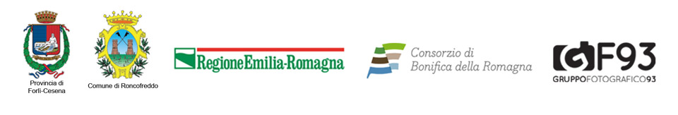 Patrocinio e partner