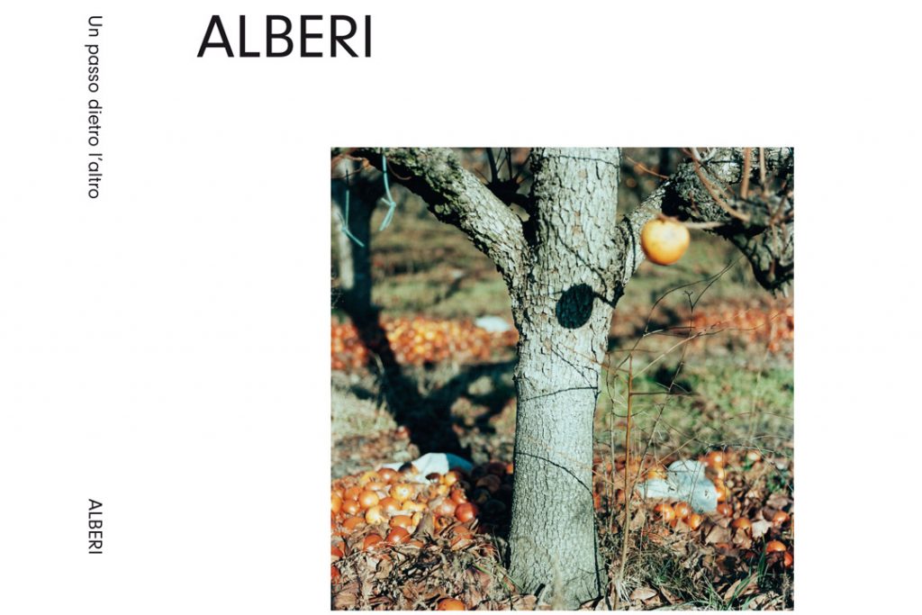 Alberi